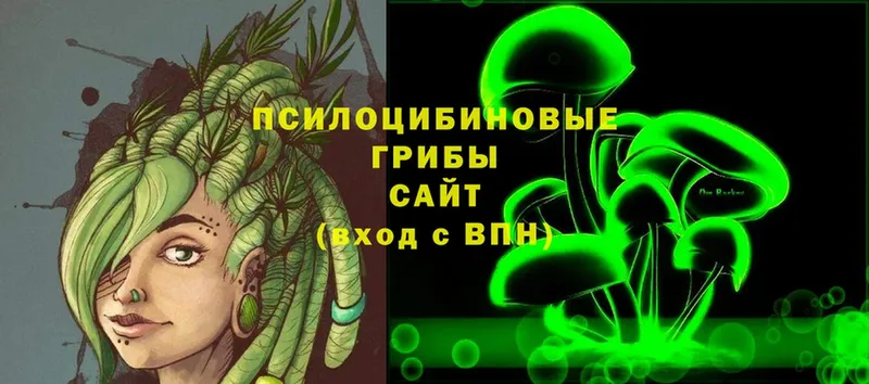 Псилоцибиновые грибы Psilocybine cubensis  это состав  Кедровый 